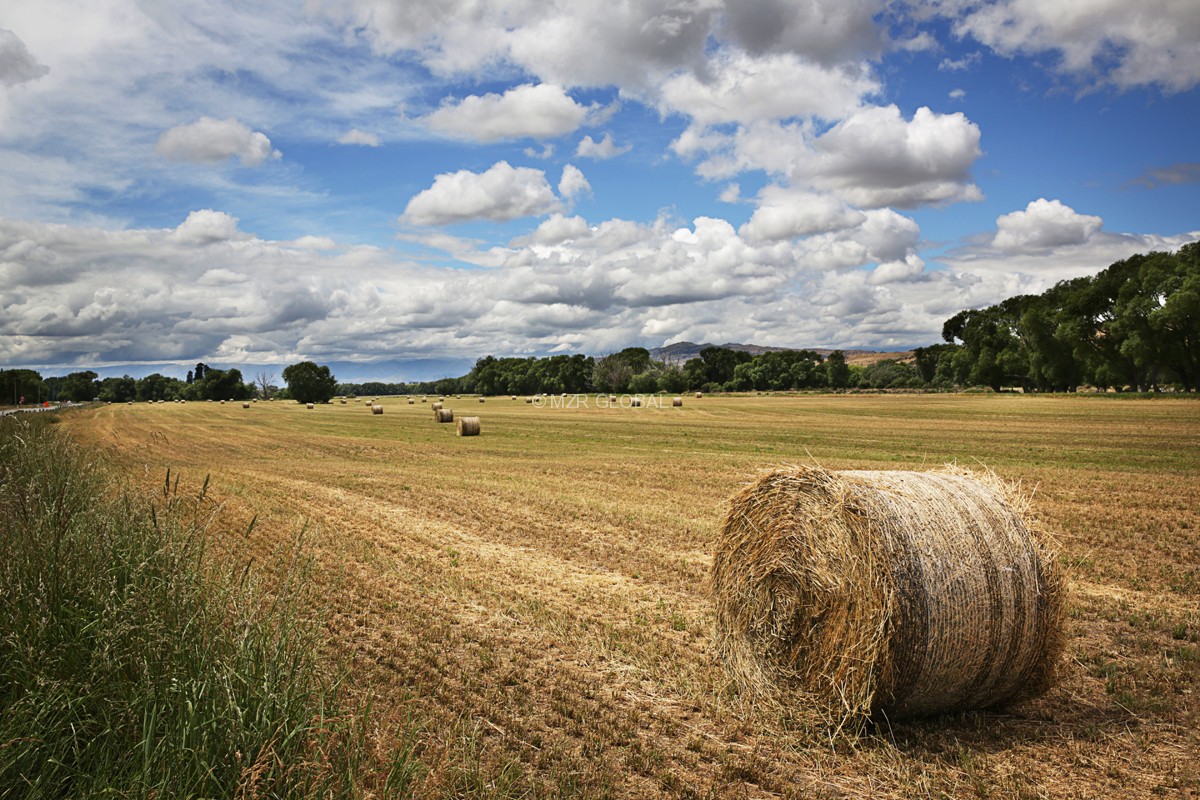 Landscape Series project image 6